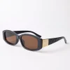 Brown Frame Sunglasses