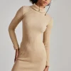 Chunky Brushed Rib Roll Neck Dress