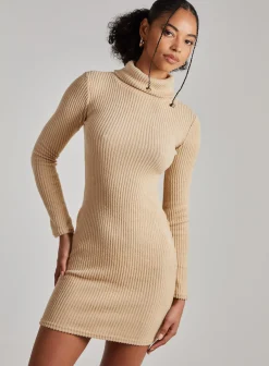 Chunky Brushed Rib Roll Neck Dress