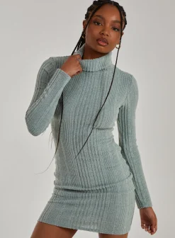 Chunky Brushed Rib Roll Neck Dress