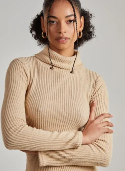 Chunky Brushed Rib Roll Neck Dress