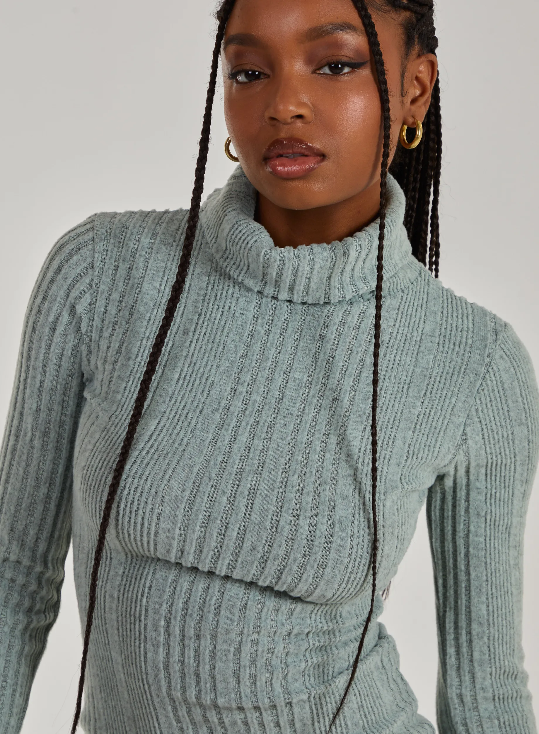 Chunky Brushed Rib Roll Neck Dress