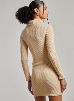 Chunky Brushed Rib Roll Neck Dress