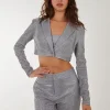 Metallic Cropped Blazer