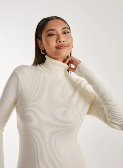 Ribbed Roll Neck Midi Dress