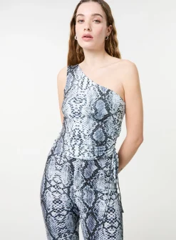 Snake Asymmetric Top