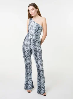 Snake Asymmetric Top