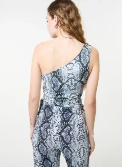 Snake Asymmetric Top