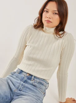 Soft Knit Wide Rib Roll Neck Top