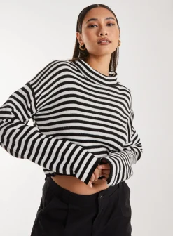 Striped Knitted Turtle Neck Jumper